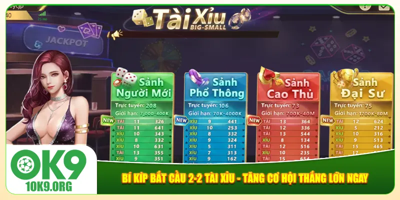 Bí Kíp Bắt Cầu 2-2 Tài Xỉu - Tăng Cơ Hội Thắng Lớn Ngay