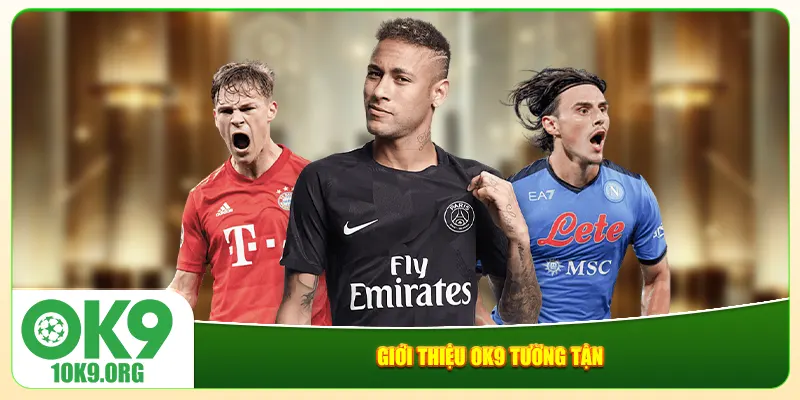 Giới thiệu Ok9 tường tận Giới thiệu Ok9 tường tận