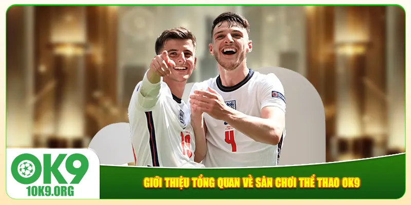 Giới thiệu tổng quan về sân chơi thể thao Ok9 Giới thiệu tổng quan về sân chơi thể thao Ok9