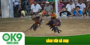 Cách vần gà chọi