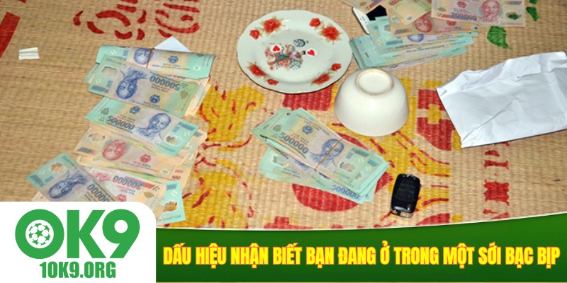 Dấu hiệu nhận biết bạn đang ở trong một sới bạc bịp