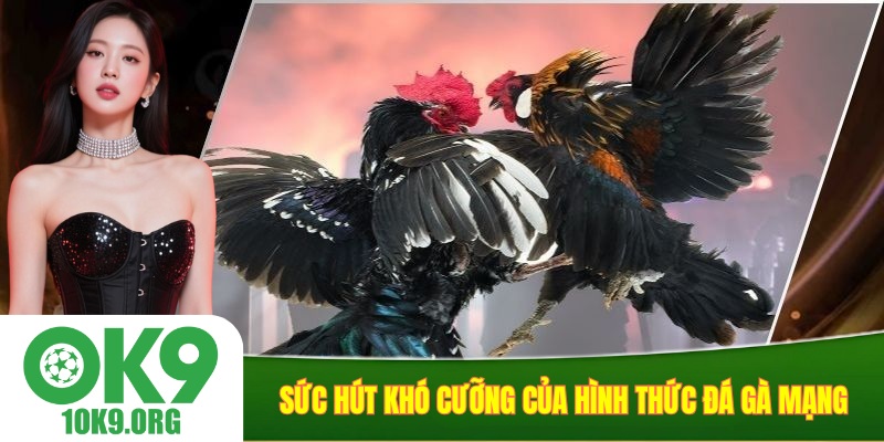 Sức hút khó cưỡng của hình thức đá gà mạng