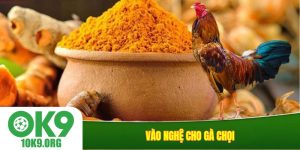Vào nghệ cho gà chọi