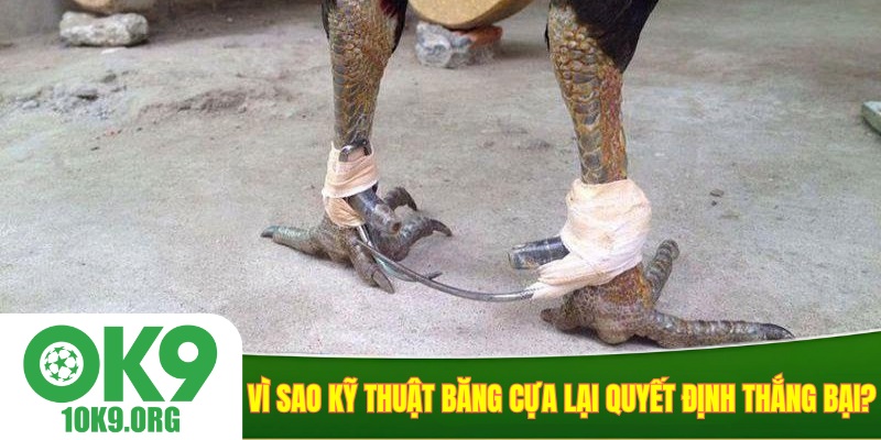 Vì sao kỹ thuật băng cựa lại quyết định thắng bại?