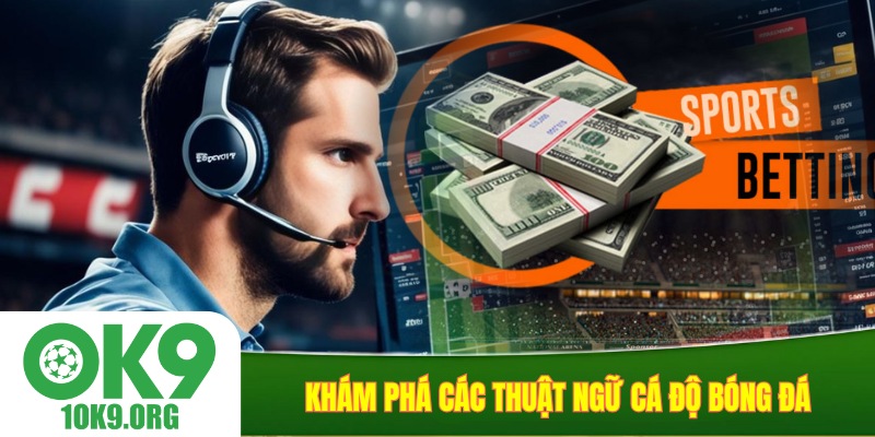 Khám phá các thuật ngữ cá độ bóng đá