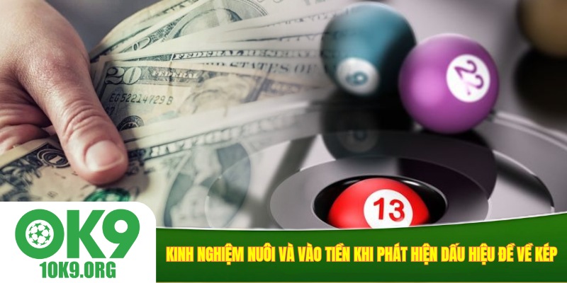 Kinh nghiệm nuôi và vào tiền khi phát hiện dấu hiệu đề về kép