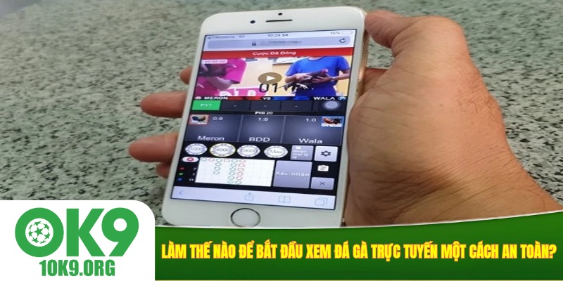 Làm thế nào để bắt đầu xem đá gà trực tuyến một cách an toàn?