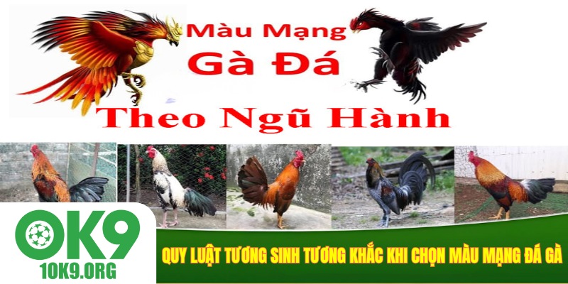 Quy luật tương sinh tương khắc khi chọn màu mạng đá gà