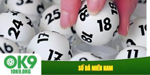 Số đá miền Nam