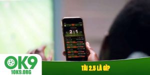 Tài 2.5 là gì