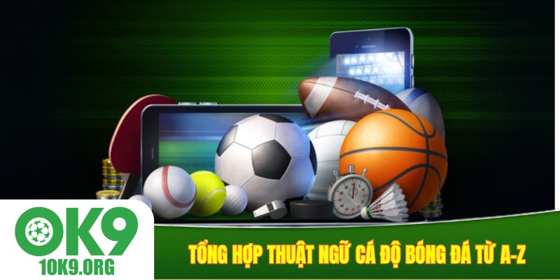 Tổng hợp thuật ngữ cá độ bóng đá từ A-Z