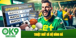 thuật ngữ cá độ bóng đá